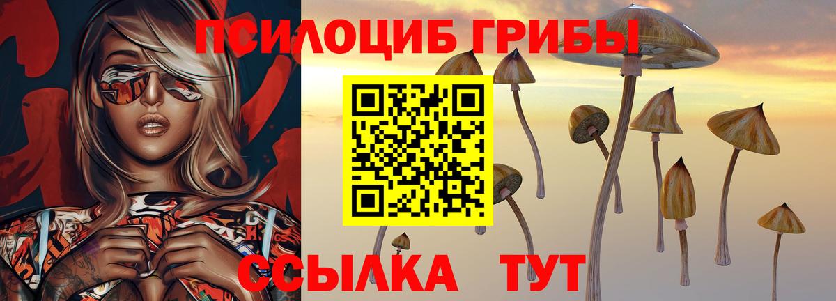 Галлюциногенные грибы Psilocybe  Вход с VPN  Нововоронеж 